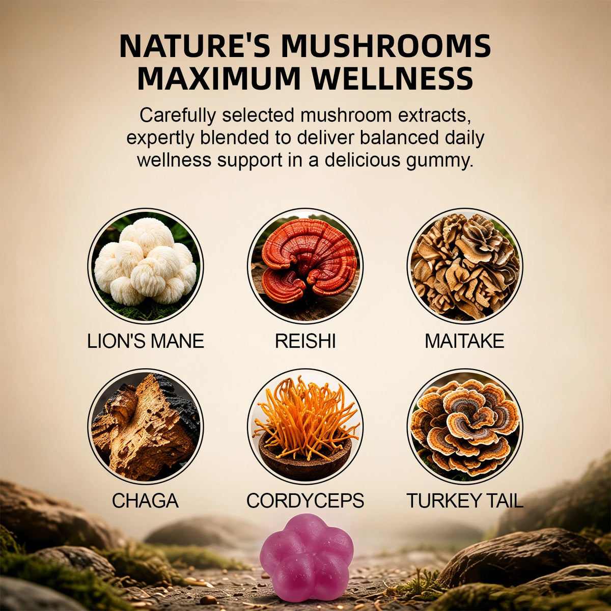 Mushroom Complex Gummies — 250mg, 60 Count