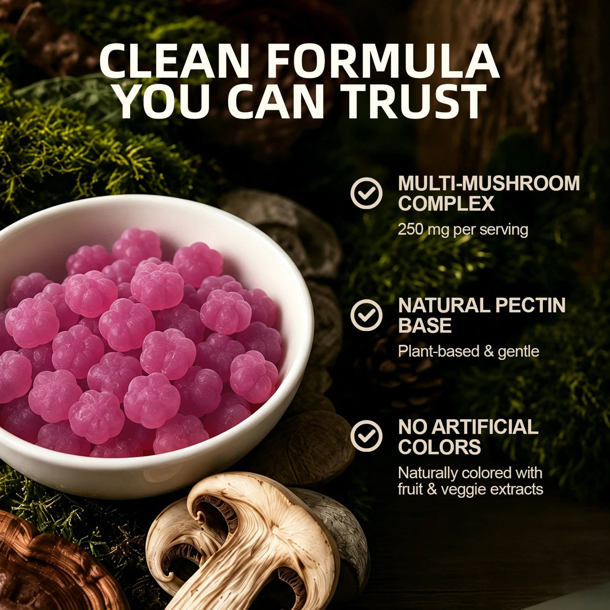 Mushroom Complex Gummies — 250mg, 60 Count