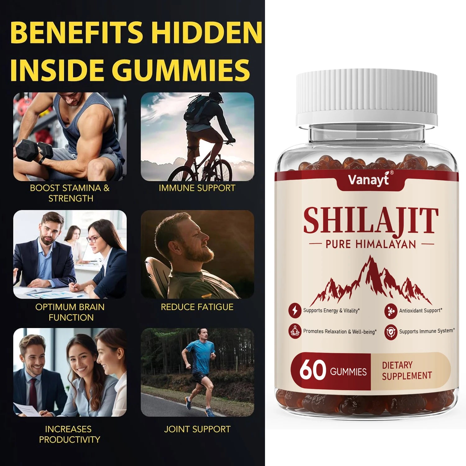 Himalayan Shilajit Gummies — with Ginseng & Ginger, 60 Count