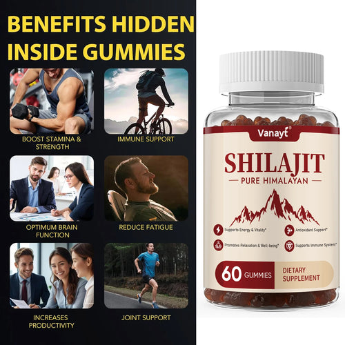 Himalayan Shilajit Gummies — with Ginseng & Ginger, 60 Count